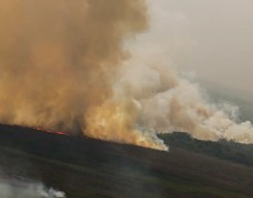 Dino homologa parcialmente plano anti-incêndios na Amazônia e Pantanal