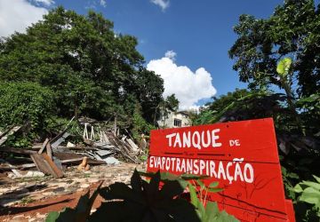 Situação dos rios na Mata Atlântica é preocupante, aponta pesquisa