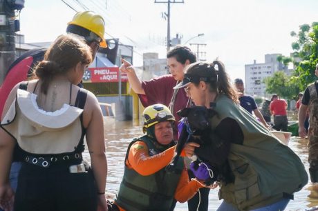 Lei determina execução prioritária de emendas orçamentárias para o Rio Grande do Sul