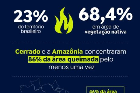 Quase 1/4 do território brasileiro pegou fogo nos últimos 40 anos