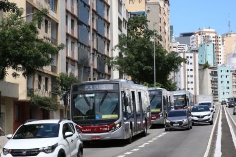 SP: Domingão Tarifa Zero transporta 81,3 milhões de pessoas em 6 meses