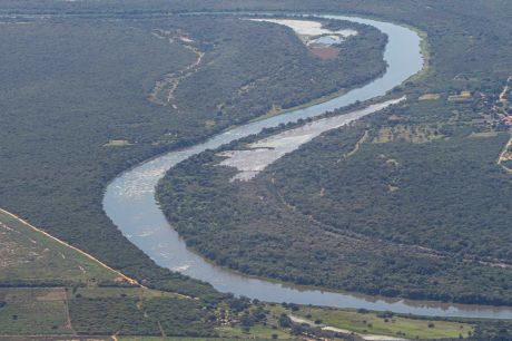 Brasil detém só 18% de patentes sobre flora endêmica da Mata Atlântica