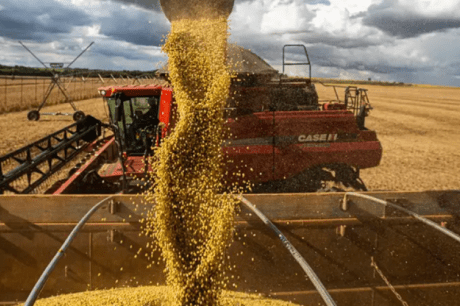 Alckmin comemora dados de produção agroindustrial em abril