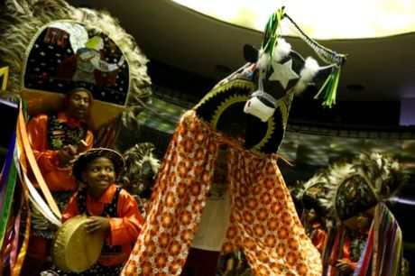 Grupos de bumba-meu-boi são mapeados no Maranhão