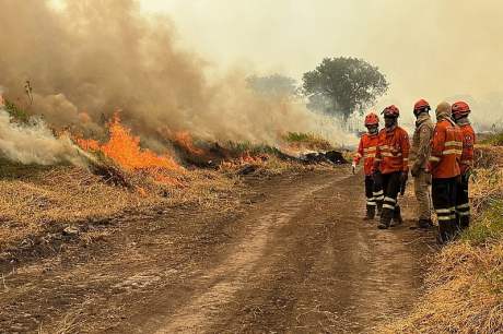 Combate às queimadas no Pantanal terá reforço nesta quinta-feira