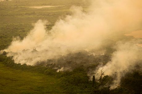 FAB faz três voos hoje sobre o Pantanal para combate às queimadas