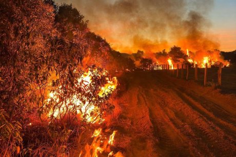 Combate a incêndios pode ser feito por pilotos e aviões estrangeiros 