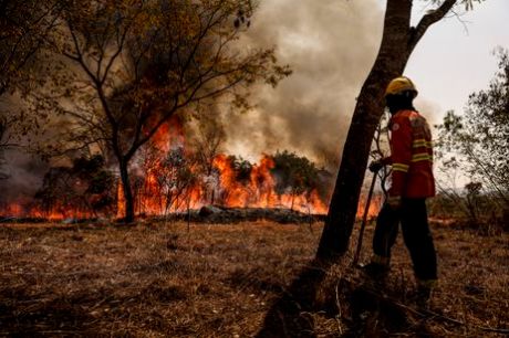 Bombeiros do DF apagam incêndio em área de nascente do Lago Paranoá