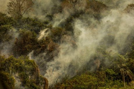 Rondônia declara situação de emergência por incêndios florestais