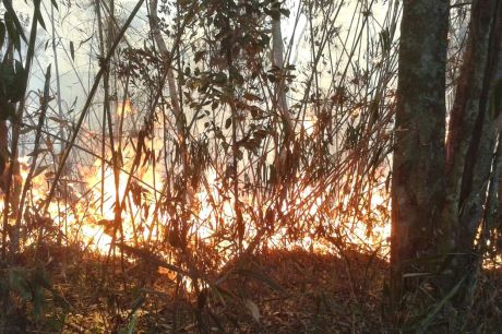 Polícia do Rio realiza operações contra suspeitos de causar incêndios