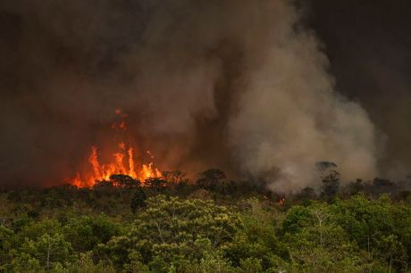 Incêndios podem ter afetado mais de 11 milhões de pessoas no Brasil