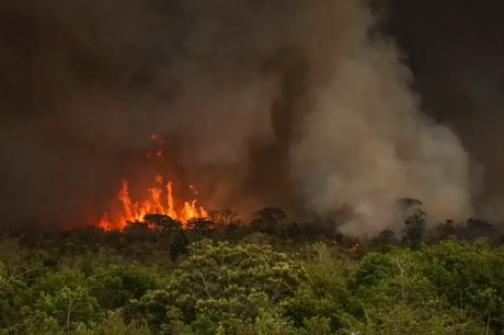 Unidades de conservação do RJ são reabertas após queda nos incêndios 