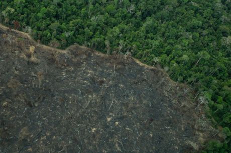 Greenpeace: imagens mostram novas áreas de garimpo em TIs na Amazônia