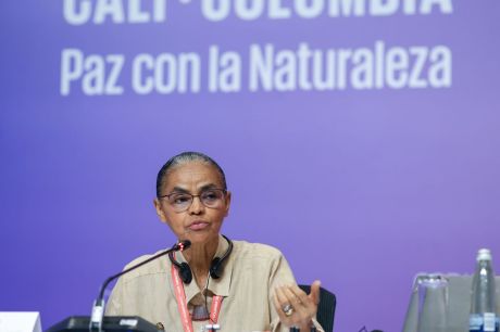 Na COP16, Marina Silva defende fundo para remunerar povos tradicionais