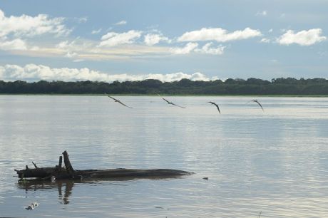 Seca: governo paga auxílio para pescadores da Região Norte