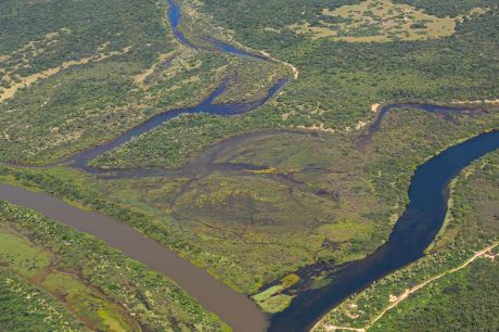 Maior parte da Mata Atlântica tem menos de 30% de vegetação nativa