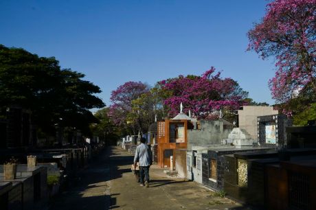 Audiência no STF discute preços cobrados em cemitérios de São Paulo