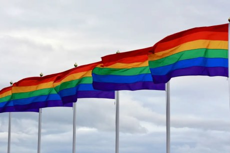 Serviço público uniformiza coleta de dados da população LGBTQIA+