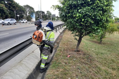 Verão 2025: Lamsa se prepara para a chegada da estação