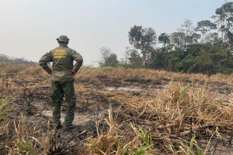 Amazônia tem o maior número de queimadas e incêndios em 17 anos