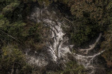 AGU cobra R$ 725 milhões de acusados por danos ambientais no Pantanal