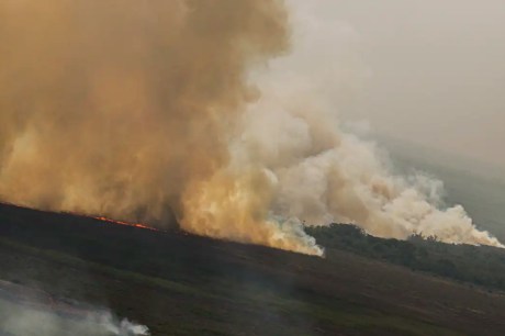 Dino homologa parcialmente plano anti-incêndios na Amazônia e Pantanal