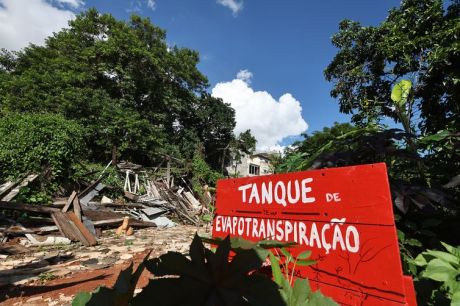 Situação dos rios na Mata Atlântica é preocupante, aponta pesquisa